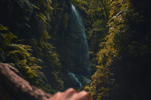 cristian-palmer-763347-unsplash-1-small